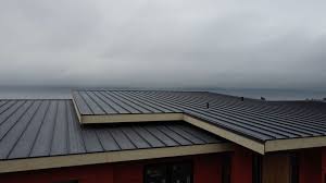 Best Storm Damage Roof Repair  in Shoshone, ID